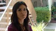 The Body Stitchers still