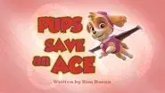 Pups Save an Ace still