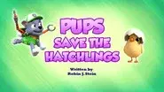 Pups Save the Hatchlings still