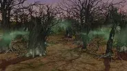 The Wizened Woods still