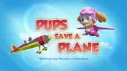 Pups Save a Plane still