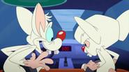 Talladega Mice: The Ballad of Pinky Brainy still