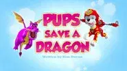 Pups Save a Dragon still