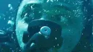 The Deep still