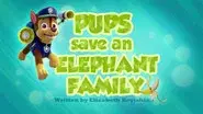 Pups Save an Elephant Family still