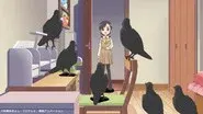 Birds still