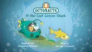 The Lost Lemon Shark still