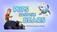 Pups Save the Bears still