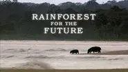 Gabon - Forests of the Future still