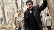 Origins still