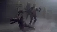 Evolution still
