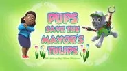 Pups Save the Mayor's Tulips still
