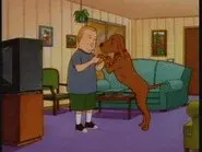 Dances with Dogs still
