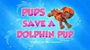 Pups Save a Dolphin Pup still