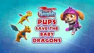 Rescue Knights: Pups Save the Baby Dragons still