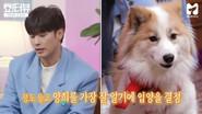 The date with Korean Wave star Sung Hoon (feat. Yang Hee)! still