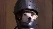The Slobbery Hound still
