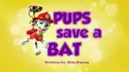 Pups Save a Bat still