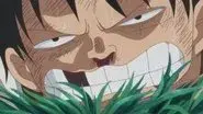 I'll Wait Here! Luffy vs. the Enraged Army! still