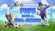 Pups Save a Hum-Kicker still