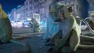 Sleepless Cities still