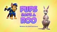 Pups Save a Roo still