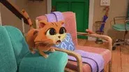 To Catch a Cat still