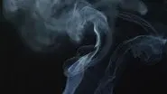 The Cannabis Question still