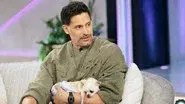 Joe Manganiello, Casey Wilson & Danielle Schneider still