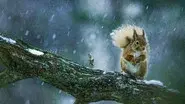 Winter still
