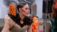 Scent of a Drag Queen still