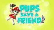 Pups Save a Friend still
