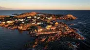 An Island Off An Island; Caligula's Gardens; Return to Gorongosa still