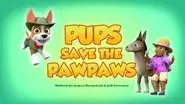 Pups Save the PawPaws still