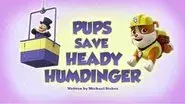 Pups Save Heady Humdinger still