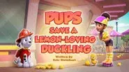 Pups Save a Lemon-Loving Duckling still