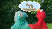 The Missing Goat Mystery still