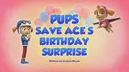 Pups Save Ace's Birthday still