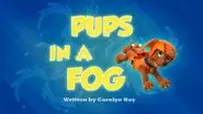 Pups in a Fog still