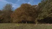 The Wild Wood still