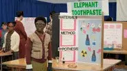 Science Fair still