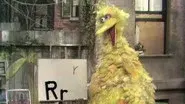 Big Bird Draws Letter R's (0123) still