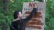 No Sanctuary still