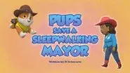 Pups Save a Sleepwalking Mayor still