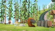 Bouncing Bear still
