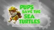 Pups Save the Sea Turtles still