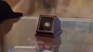Jurassic Pawn still