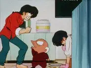 Ranma, You Are Such a Jerk! still