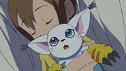 Hikari and Tailmon still