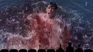 Killer Fish still